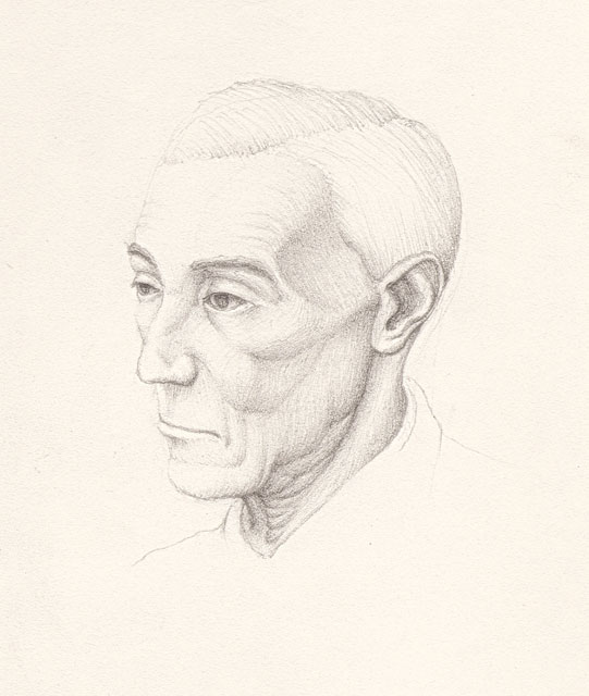 Voltaire's Head