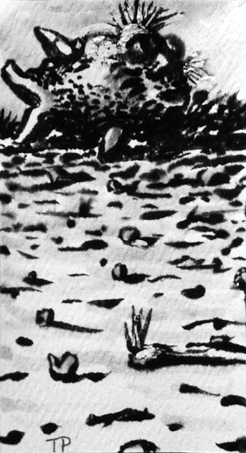 Dry Land