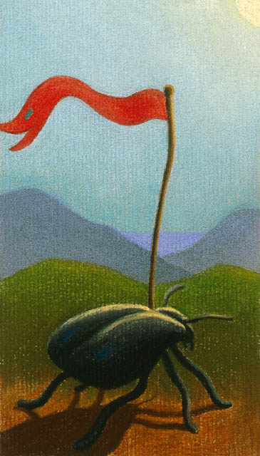 Stinkbug