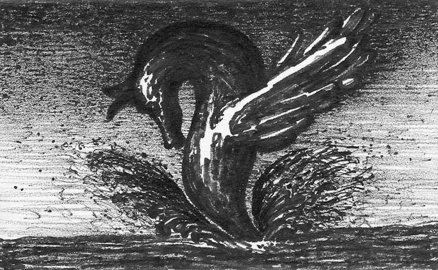 Water Spout