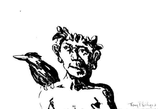 Pan and Bird