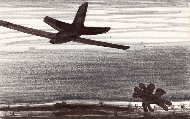 Never Will Fly